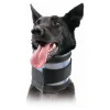 KVP - Collier cervical pour chiens noir (13-48 cm)
