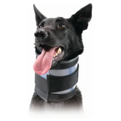 KVP - Collier cervical pour chiens noir (13-48 cm)