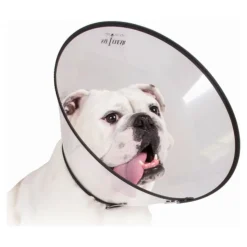 KVP - Collier de protection isabelino pour chiens saf-t-clear transparent (17-30 cm)