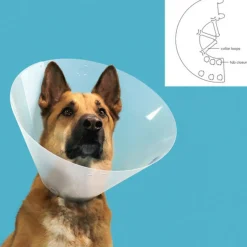 KVP - Collier de protection isabelino pour chiens quick fit transparent (39-48 cm)