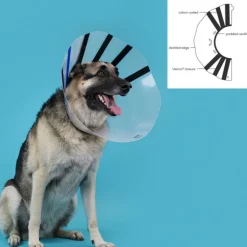 KVP - Collier de protection isabelino pour chiens ez clear (25-32 cm)