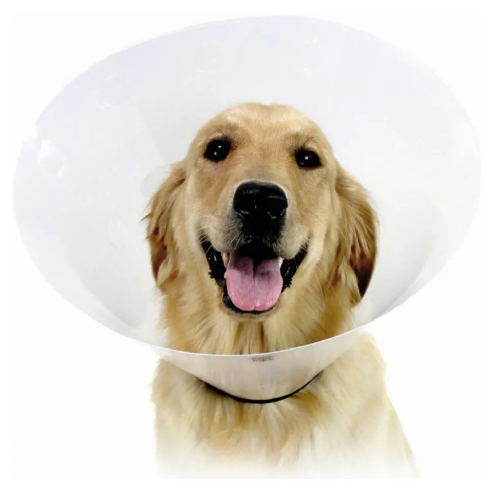 KVP - Collier de protection isabelino pour chiens check transparent (22-27 cm)
