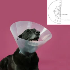 KVP - Collier de protection isabelino pour chiens betsy transparent (39-48 cm)