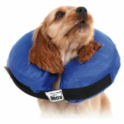 KVP - Collier de récupération pour chiens kvp kong cloud bleu gonflable (33-46 cm)