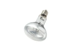 LA FERME TROPICALE - Lampe uvb auto ballastée 75w - super sun- ampoule pour le chauffage et l'éclairage destinés aux reptiles (lézards, serpents), am
