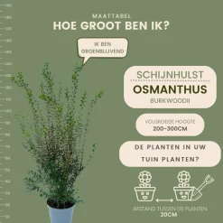 LA GREEN TOUCH - Faux houx h125cm pour 10 mètres linéaires de haie 10x12l