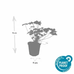 LA GREEN TOUCH - Géranium vivace 'tiny monster' x6 – entre 0,38 et 0,5m2