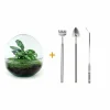 LA GREEN TOUCH - Kit terrarium diy - dome calathea/fittonia verte - rateau + pelle + pince
