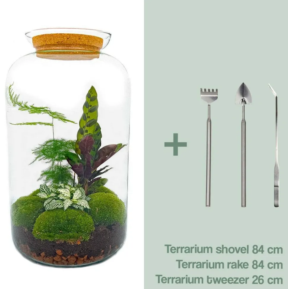 LA GREEN TOUCH - Kit terrarium diy - salen - rateau + pelle + pince