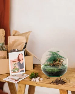 LA GREEN TOUCH - Kit terrarium diy - dome asparagus/fittonia rouge - rateau + pelle + pince + ciseaux