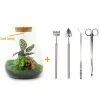 LA GREEN TOUCH - Kit terrarium diy - samos avec led calathea + fittonia rouge et verte - pelle + rateau + pince + ciseau