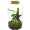 LA GREEN TOUCH - Kit terrarium diy - salen - sans outil