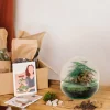 LA GREEN TOUCH - Kit terrarium diy - dome asparagus/fittonia rouge - rateau + pelle + pince
