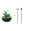 LA GREEN TOUCH - Kit terrarium diy - dome calathea/fittonia verte - rateau + pelle