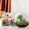 LA GREEN TOUCH - Kit terrarium diy - dome xl ficus + 2 fittonia - sans outil