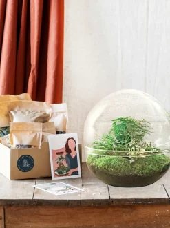 LA GREEN TOUCH - Kit terrarium diy - dome xl asparagus + lierre + fittonia - rateau + pelle + pince + ciseaux