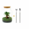LA GREEN TOUCH - Kit terrarium diy - mila