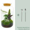 LA GREEN TOUCH - Kit terrarium diy - salen - rateau + pelle