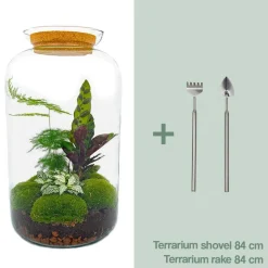 LA GREEN TOUCH - Kit terrarium diy - salen - rateau + pelle