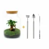 LA GREEN TOUCH - Kit terrarium diy - mila sans led ficus - rateau + pelle + pince