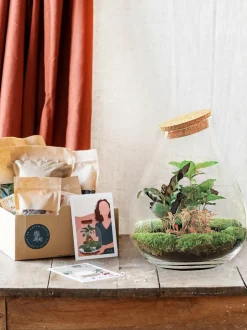 LA GREEN TOUCH - Kit terrarium diy - doorn calathéa + caféier + fittonia - rateau + pelle
