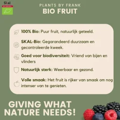 LA GREEN TOUCH - Lot de 4 plantes fruitières