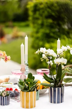 LA GREEN TOUCH - Mix de plantes vertes avec pots decoratifs