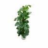 LA GREEN TOUCH - Monstera pertusum 150cm et son pot blanc - hauteur 150cm