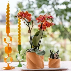 LA GREEN TOUCH - Orchidée corail et succulente avec cache-pot pêche sur plateau blanc