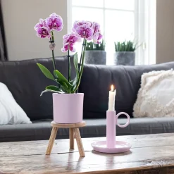 LA GREEN TOUCH - Orchidées phalaenopsis rose violet - lot de 2 35cm - plante d'intérieur