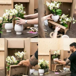 LA GREEN TOUCH - Orchidées blanches en panier d'osier avec réservoir d'eau