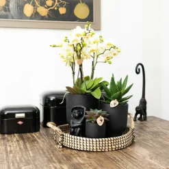 LA GREEN TOUCH - Ornement décoratif singe assis - noir