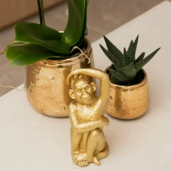 LA GREEN TOUCH - Phalaenopsis amabilis en pot luxueux doré 35cm - plante d'intérieur