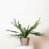 LA GREEN TOUCH - Platycerium plante artificielle- h50cm, ø15cm