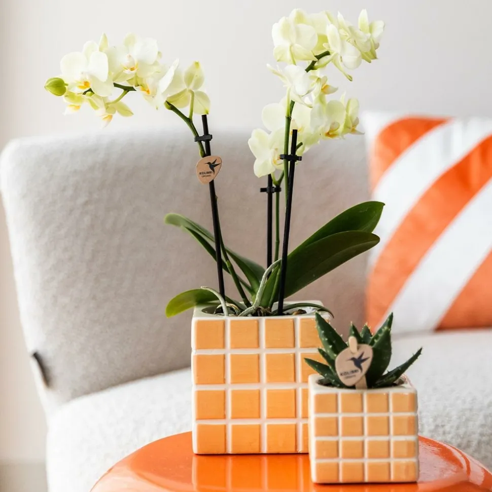 LA GREEN TOUCH - Pot décoratif mosa - orange