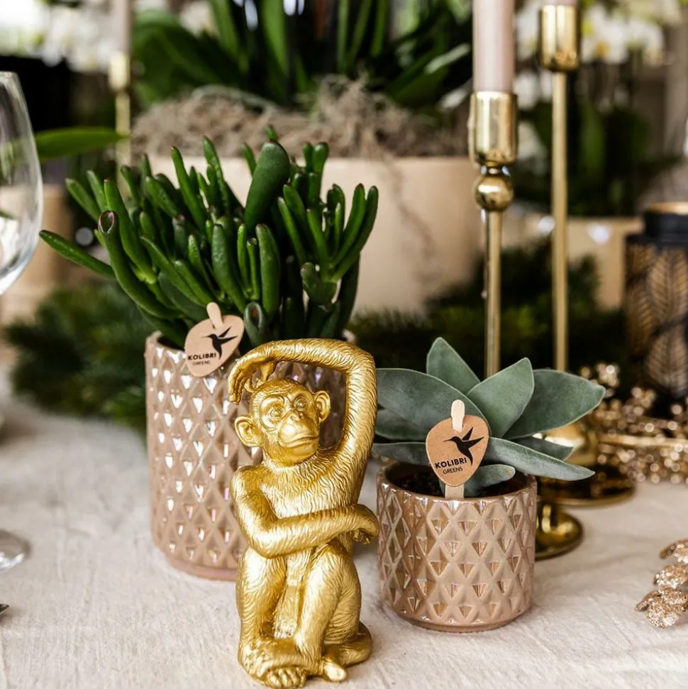 LA GREEN TOUCH - Pot diamond pearl - sable