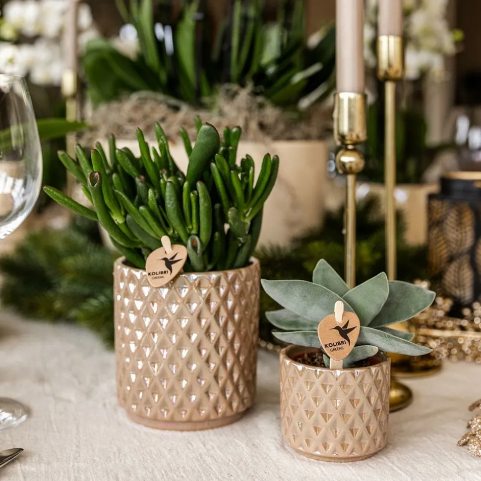 LA GREEN TOUCH - Pot diamond pearl - sable