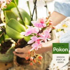 LA GREEN TOUCH - Spray hydratant brillance pour orchidées