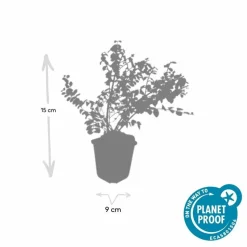 LA GREEN TOUCH - Symphorine de chenault 'hancock' x40 – entre 2,5 et 3,33m2