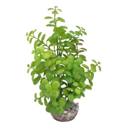 LABEO - Plante artificielle pour aquarium, arbre lentille - H.22cm
