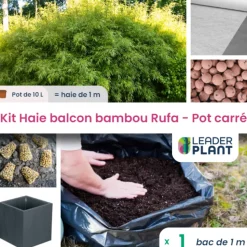 LEADERPLANT - Kit bambou rufa 10l avec bac pour balcon