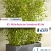 LEADERPLANT - Kit brise-vue balcon bambou rufa 5 l