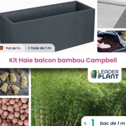 LEADERPLANT - Kit brise-vue balcon bambou campbell 5 l
