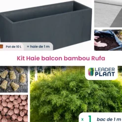 LEADERPLANT - Kit brise-vue balcon bambou rufa 10 l