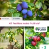 LEADERPLANT - Kit fruitiers nains fruit me ® - lot de 3 variétés en pot de 2,5 l