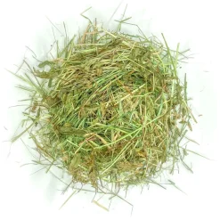 L'EDEN DES PATTOUNES - Foin aromatisé à la coriandre pour lapins et rongeurs