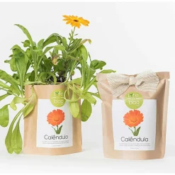LIFE IN A BAG - Sac papier prêt à cultiver calendula