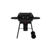 LIVWISE - Barbecue charbon magnus premium
