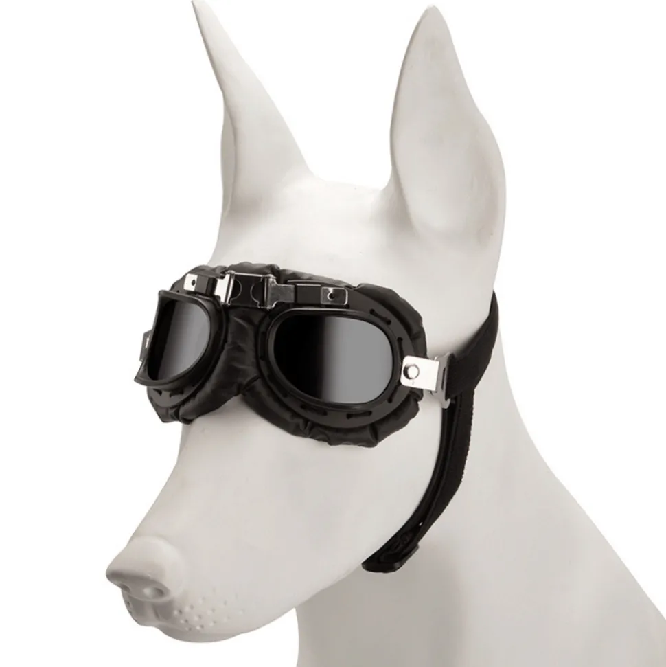 Lunettes de soleil pour animaux mcboson, monture noire, verres gris