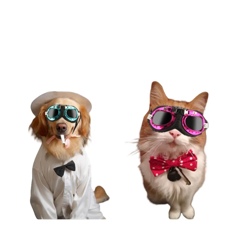 Lunettes de soleil pour animaux mcboson, monture noire, verres gris